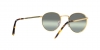 RB3637 New Round Sunglasses
