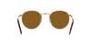 RB3637 New Round Sunglasses