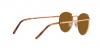 RB3637 New Round Sunglasses