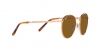 RB3637 New Round Sunglasses