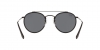 RB3647NL Sunglasses