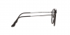 RB3647NL Sunglasses