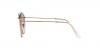 RB3647NL Sunglasses