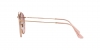 RB3647NL Sunglasses
