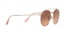RB3647NL Sunglasses