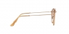 RB3647NL Sunglasses