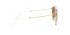 RB3647N Sunglasses