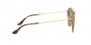 RB3647N Sunglasses