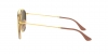 RB3647N Sunglasses