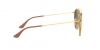 RB3647N Sunglasses