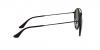RB3647N Sunglasses