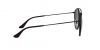 RB3647N Sunglasses
