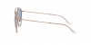 RB3647N Sunglasses