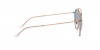 RB3647N Sunglasses