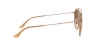 RB3647N Sunglasses