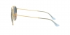 RB3647N Sunglasses