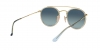 RB3647N Sunglasses