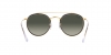 RB3647N Sunglasses
