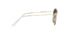 RB3647N Sunglasses