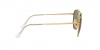 RB3647NL Sunglasses