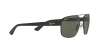 RB3663 Sunglasses