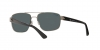 RB3663 Sunglasses