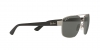 RB3663 Sunglasses
