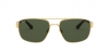 RB3663 Sunglasses