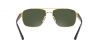 RB3663 Sunglasses