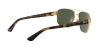 RB3663 Sunglasses