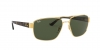 RB3663 Sunglasses