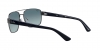 RB3663 Sunglasses