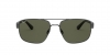 RB3663 Sunglasses
