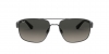 RB3663 Sunglasses