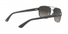 RB3663 Sunglasses