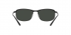 RB3671CH Sunglasses