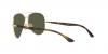 RB3675 Sunglasses