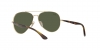 RB3675 Sunglasses