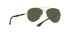 RB3675 Sunglasses