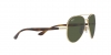 RB3675 Sunglasses