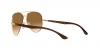 RB3675 Sunglasses