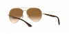 RB3675 Sunglasses