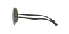 RB3675 Sunglasses