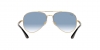 RB3675 Sunglasses
