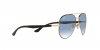 RB3675 Sunglasses