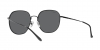 RB3680D Sunglasses