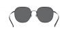 RB3680D Sunglasses