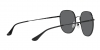 RB3680D Sunglasses