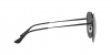 RB3680D Sunglasses