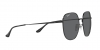 RB3680D Sunglasses